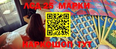 крисы Шахты