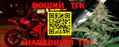 крисы Шахты