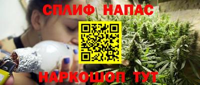 крисы Шахты