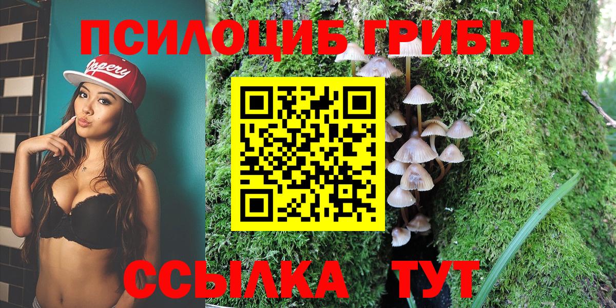 Галлюциногенные грибы Psilocybine cubensis Альметьевск