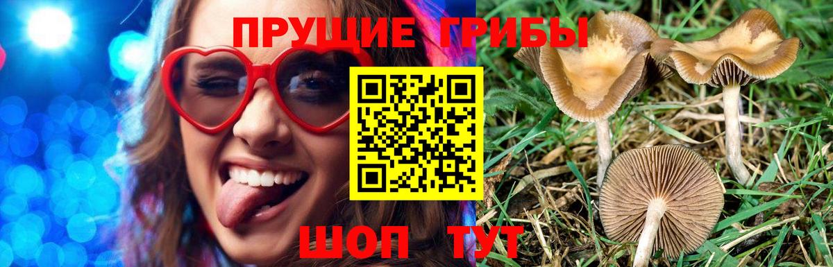 Альметьевск  магазин продажи   Вход с VPN  Галлюциногенные грибы Psilocybe 