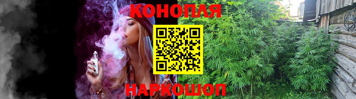 Бошки Шишки планчик  Конопля гибрид  Альметьевск  Вход с VPN  Канабис Amnesia 
